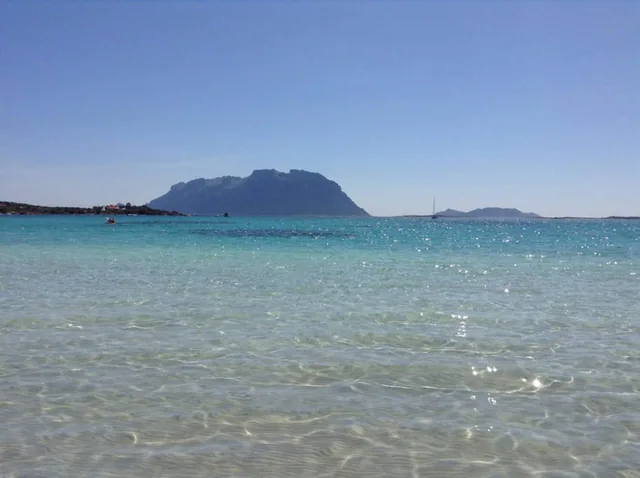 Acqua bassa e trasparente con il profilo dell'isola di Tavolara all'orizzonte